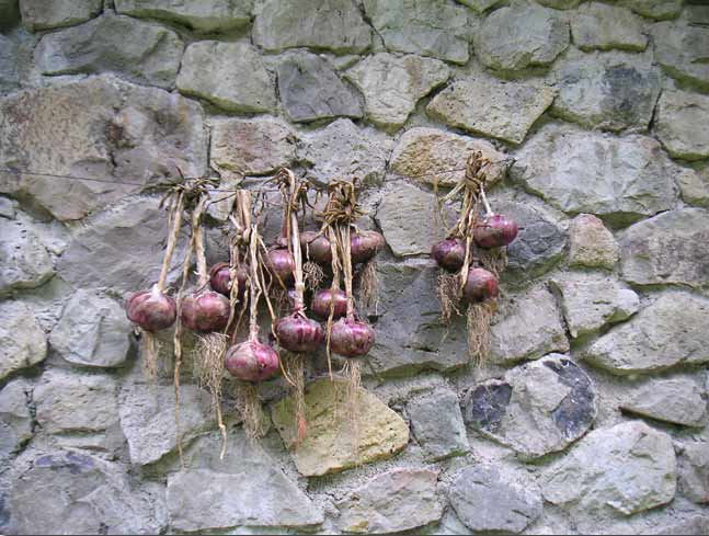 �ΕǂƐԋʔK�͗ǂ��������Ă���