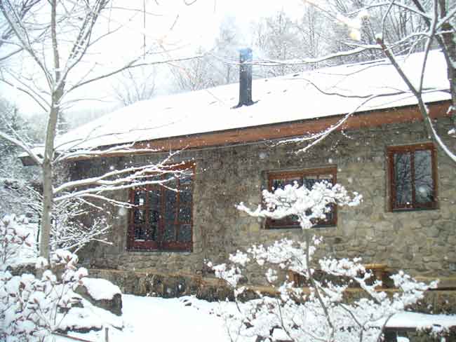 �ΐς݂̉ƂɐႪ�~��i�F