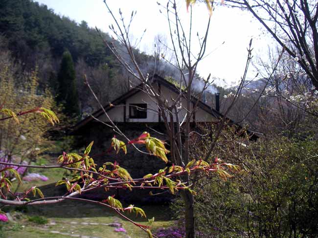 ���˂���X�g�[�u�̉����o��t�̒��̐ΐς݂̉�