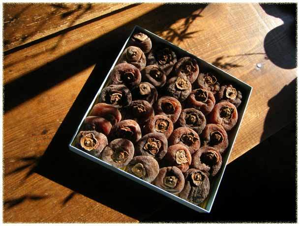 ���ɔ[�܂��������`