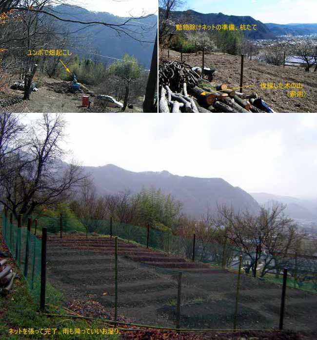 �l�b�g�ň͂��đ��݂�����