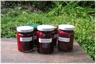 �r�l�߂����������W�����A����������܂������S�č����グ�Ă��܂��c��A���񂾂�