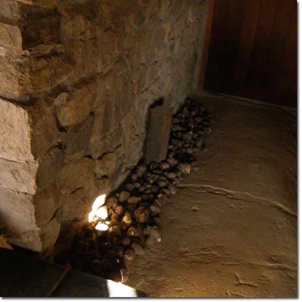 �y�ԂɈꎞ�ޔ��������T�g�C��