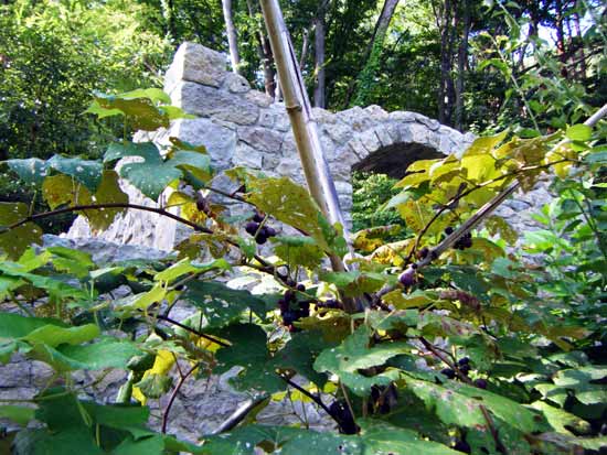 �X�`���[�x���z���Ɍ���ΐς݂̓r���̉�