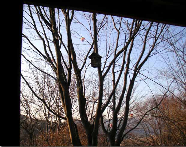 �C�����P���L�z���Ɍ����܂���