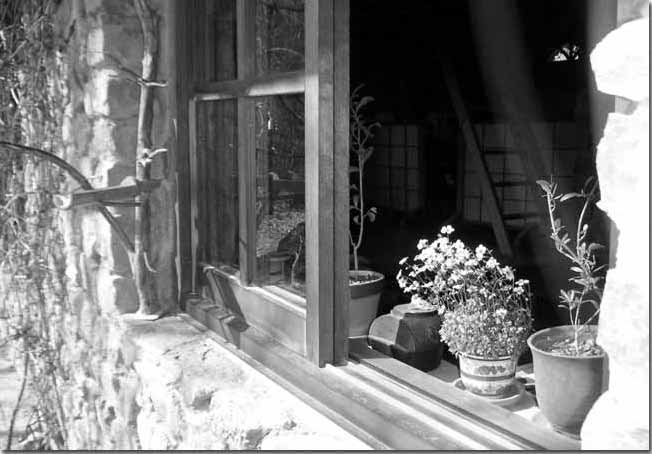 �����J���ďt�̗z�C���y����