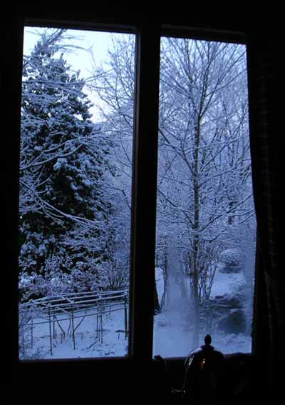 �䏊�̑��z���̐���i�F