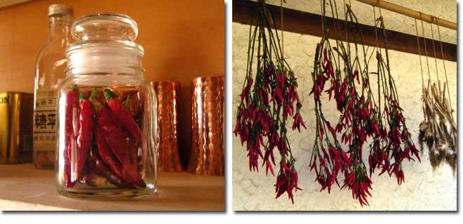 �r�l�߂ɂ����g�E�K���V�ƊO�̌����ɒ݂艺�����g�E�K���V