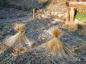 �卪�ƃj���W���𖄂߂��Ƃ���ɂ̓����{�b�`