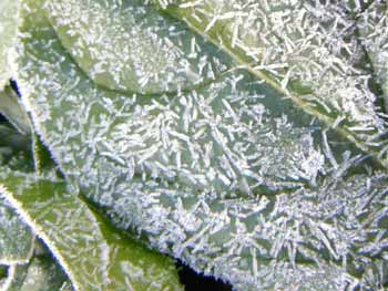 ���̃z�E�����\�E�A���̃N���[�Y�A�b�v