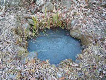 �قږ쐶�����̂���r�����X�������Ă���