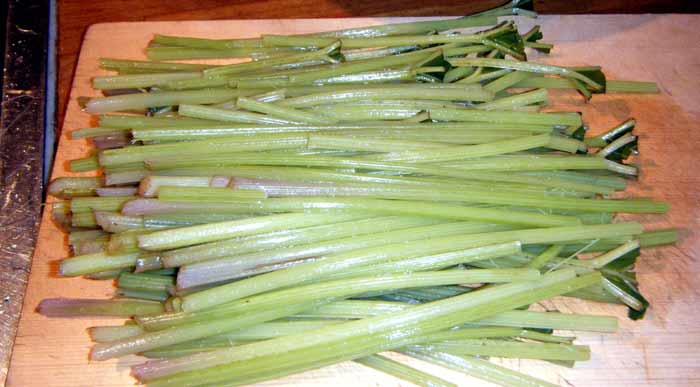 ��ł��t�L�̐F��������