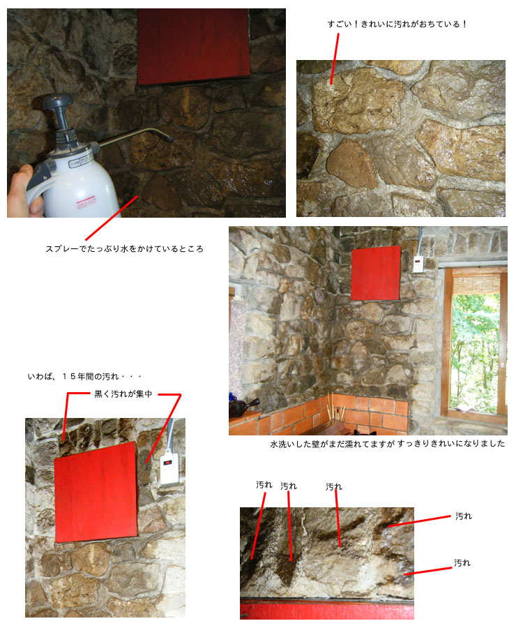 �Εǂ̉���𗎂����