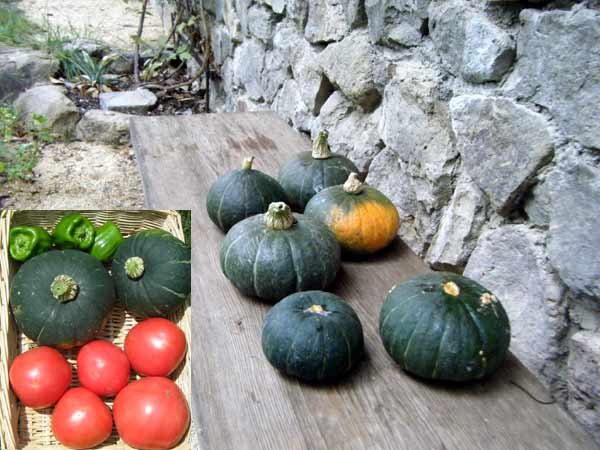 �J�{�`��/�I�V