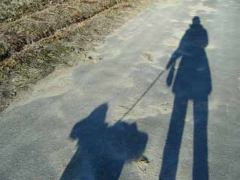 �_���ɉf��炭�Ǝ��̉e