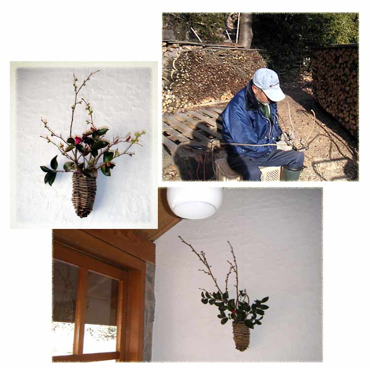 �N�Y�̃c���ł�����҂�ŉԓ�������