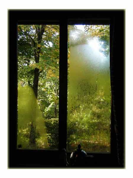 �䏊�̑�����̌i�F