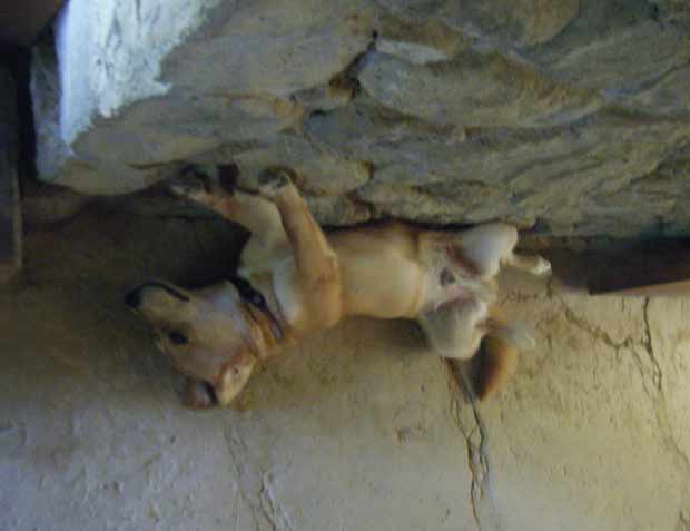 �ΕǂɊ��Y���đO�r�����Ă���u�炭�v