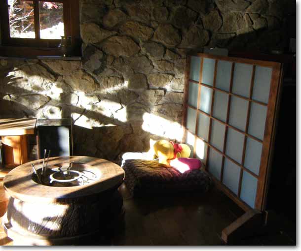 ������������ʂ������