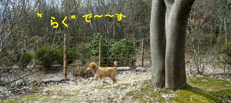 �炭�͊�ђ�삯���`��