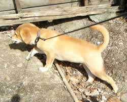 �~�n�������