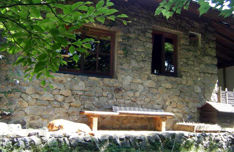 �����ŐQ��炭