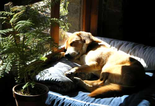 �����𗁂тĘr���Ŗ���炭