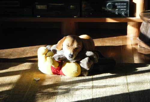 �����𗁂тĖ���炭