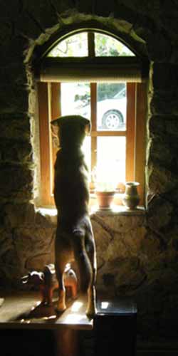 �o������C���A�A�B