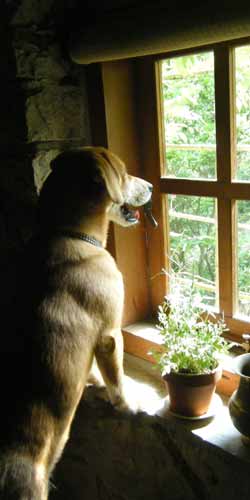 �ǂ��֍s���񂾂낤�H