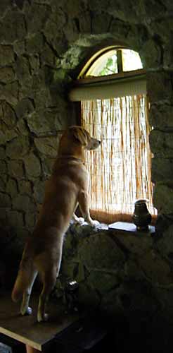 �����Ă�񂾁H