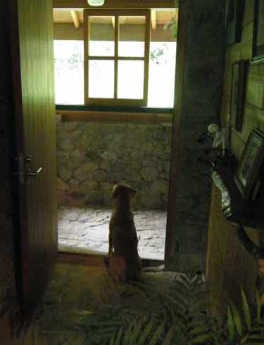 �A���Ă����A�B