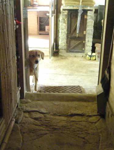 �Ɛ��w�͌����E�E�B