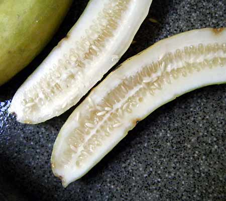 ��Ƃ�p�𔼐؂����Ƃ���