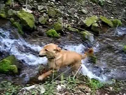 �R�̏���ő勻���I