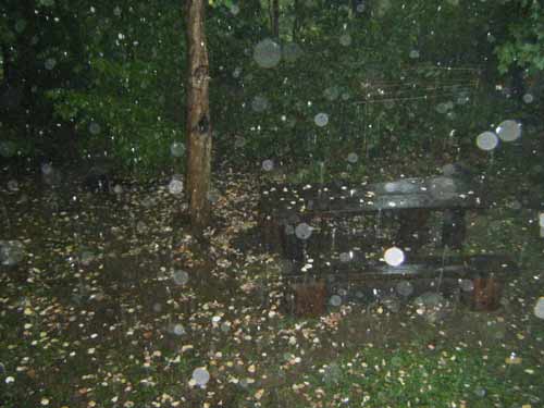 �J�őO�������Ȃ��قǂ̑�U��