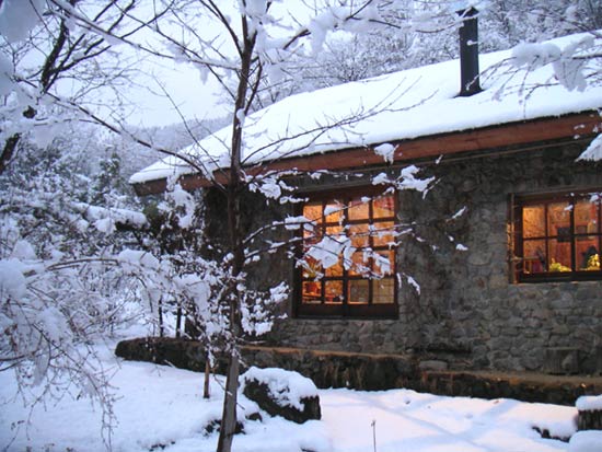 ��i�F�ƉƂ̑�����I�����W�̓��肪�����i�F