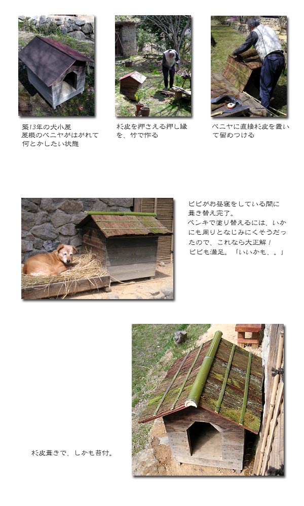 �������̉����𐙔�Ƀ��t�H�[������܂ł̗l�q