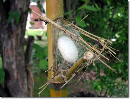 �|�ɍ�点����