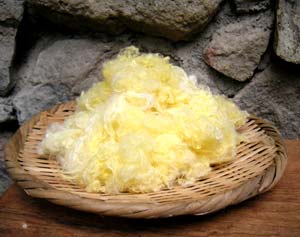 �ق��ꂽ�����������^��