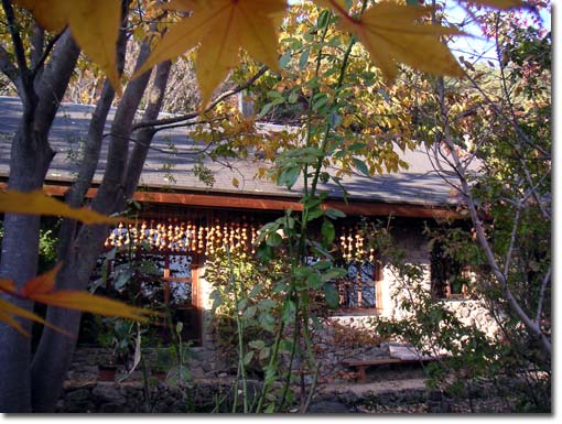 �[���𗁂т銱���`