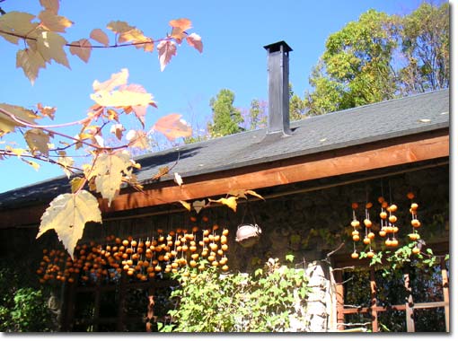 ��Ɗ����`�Ɖ���