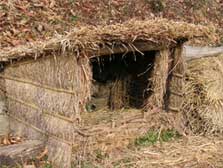 ���ō�����l�M����