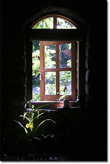 �������������ސ����̑�