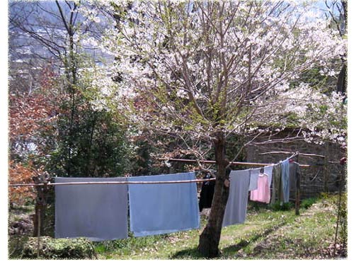 ���󕨊����Ɩ��J�̍��̖�