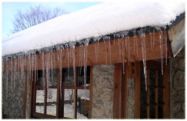 �k���A���ւ̉����̂��