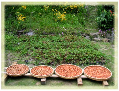 �~�����i�F