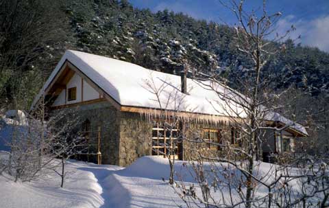 ��ԐႪ���������N�̐�i�F