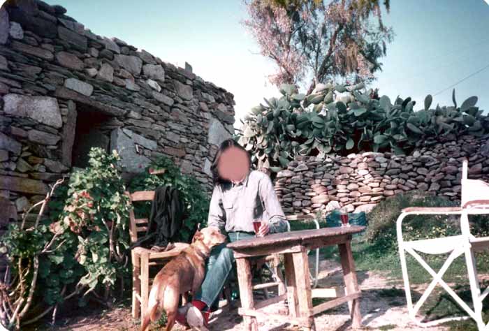 �p���X���̐ΐς݂̉�