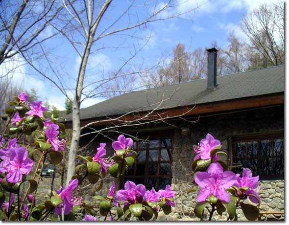 ���F�̃G�]�����T�L�c�c�W